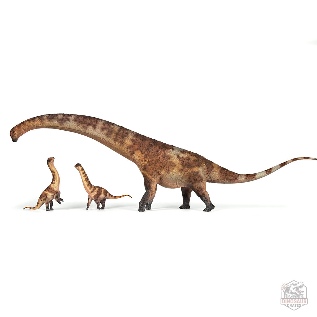 Haolonggood Dreadnoughtus Brown