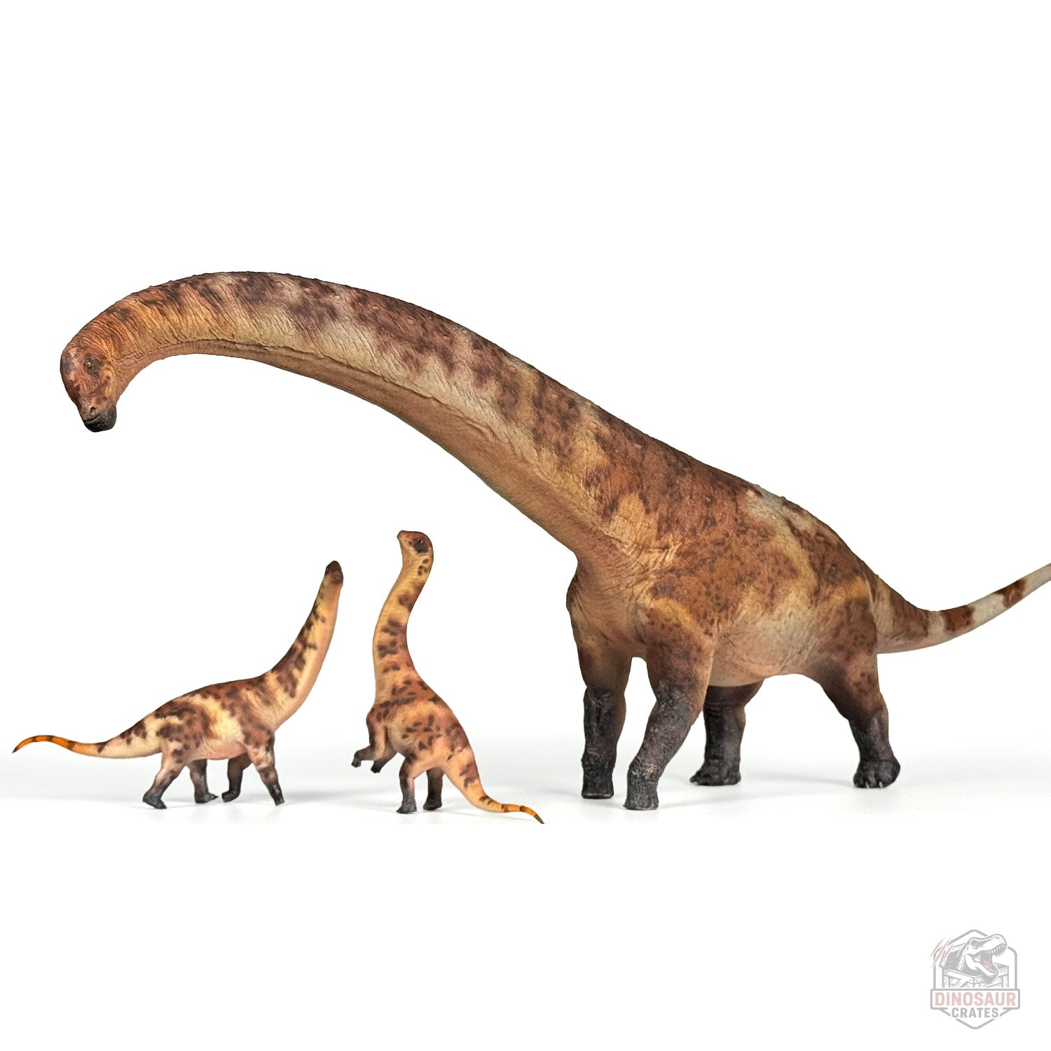 Haolonggood Dreadnoughtus Dinosaur Figure