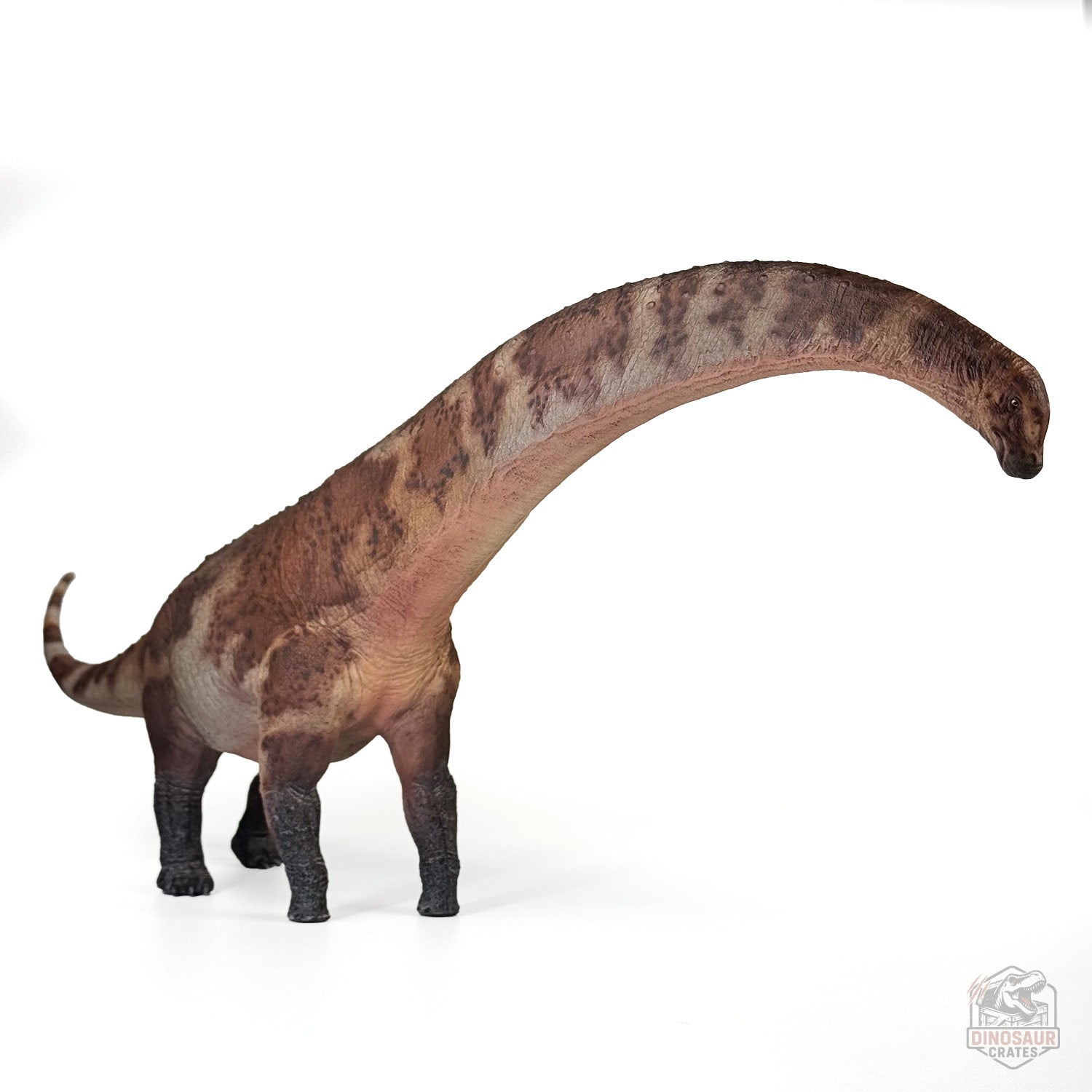 Haolonggood Dreadnoughtus Dinosaur Figure