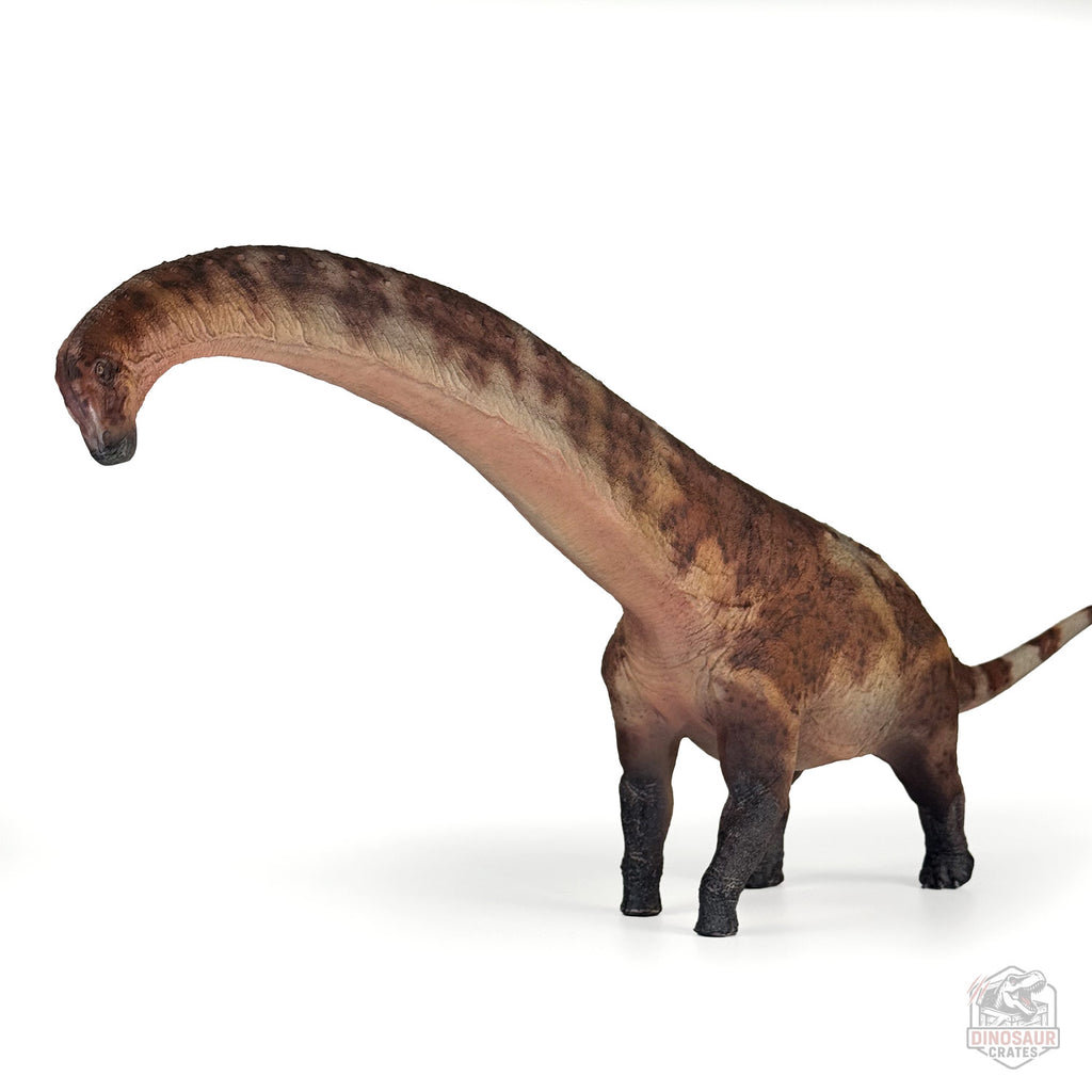 Haolonggood Dreadnoughtus Brown