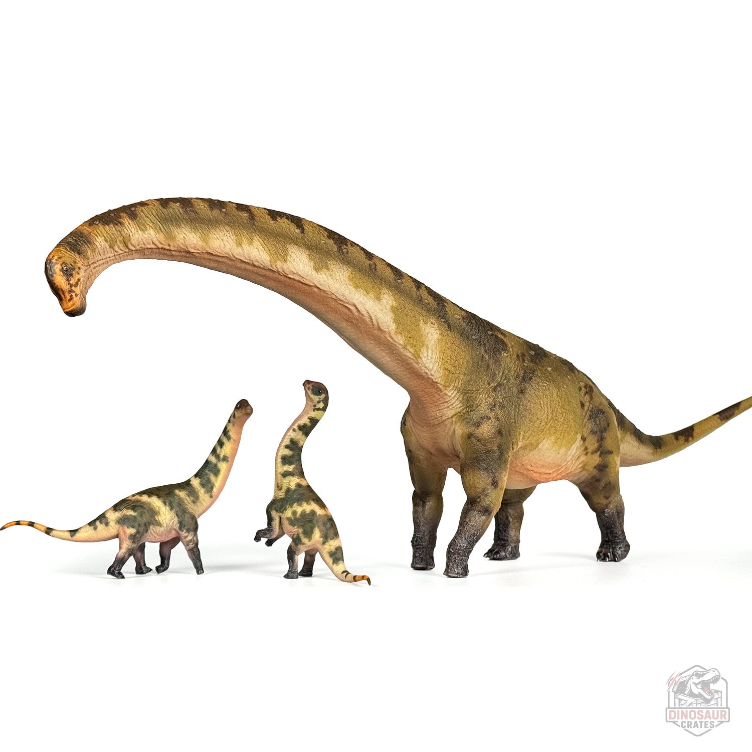 Haolonggood Dreadnoughtus Dinosaur Figure