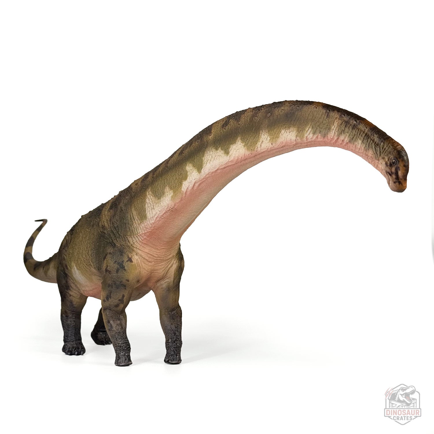 Haolonggood Dreadnoughtus Dinosaur Figure
