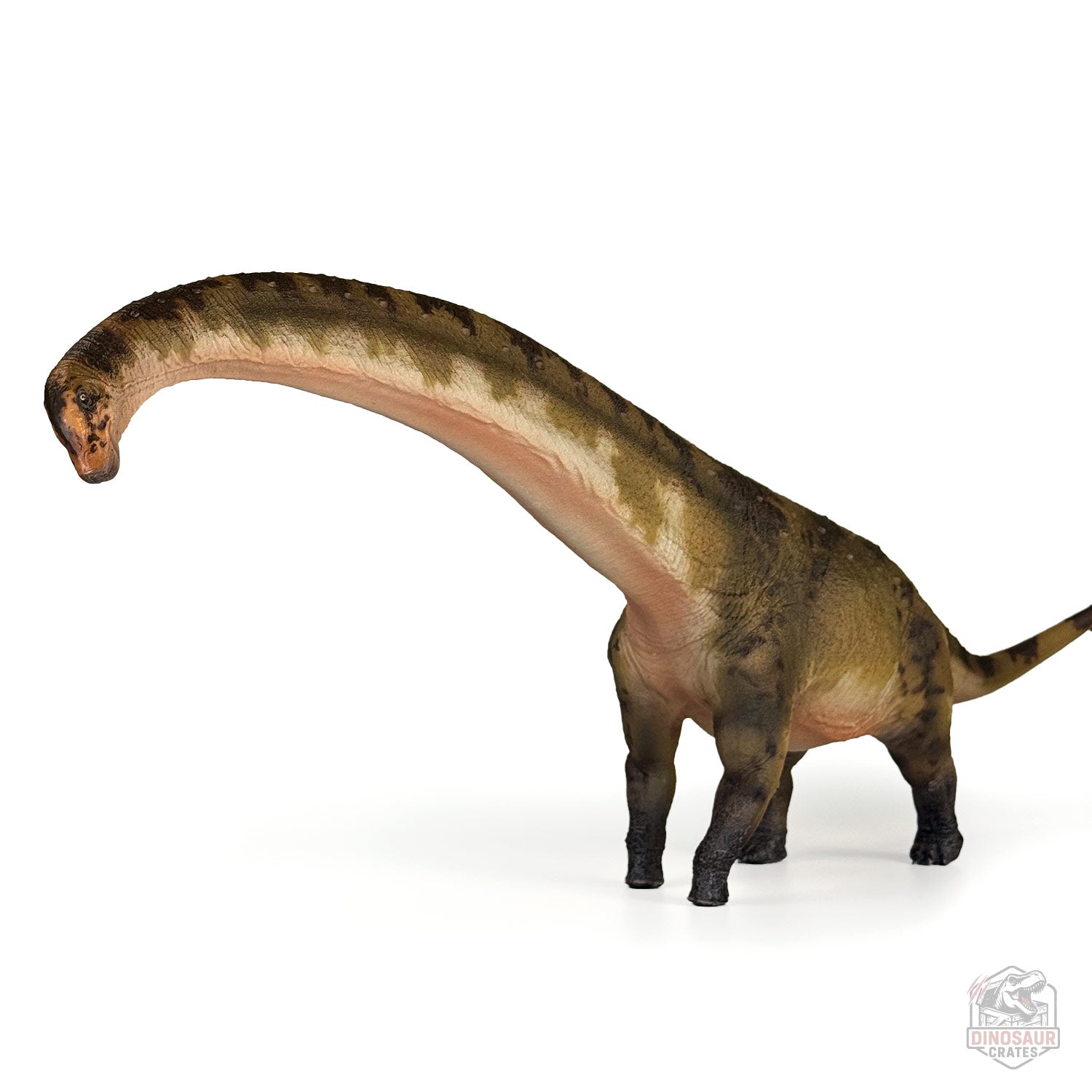 Haolonggood Dreadnoughtus Dinosaur Figure