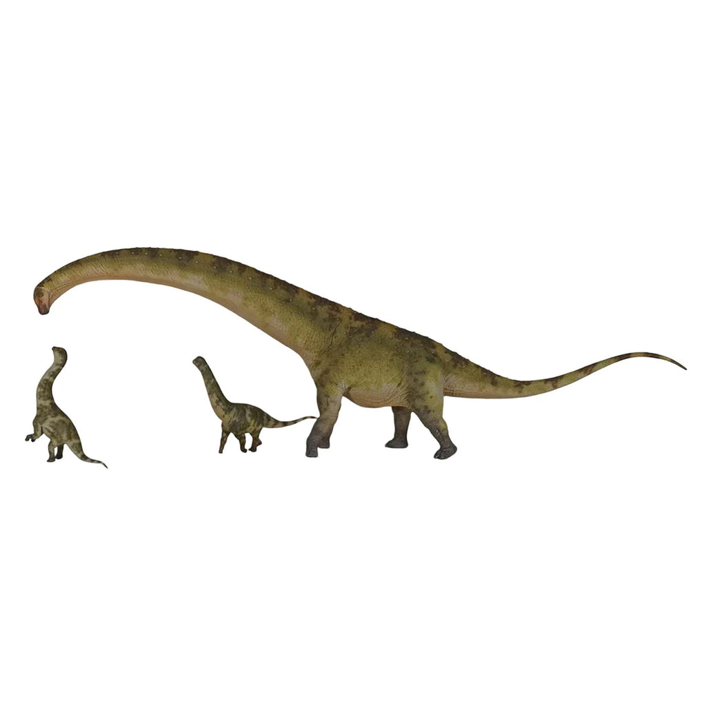 Haolonggood Dreadnoughtus Dinosaur Figure (Pre-order)