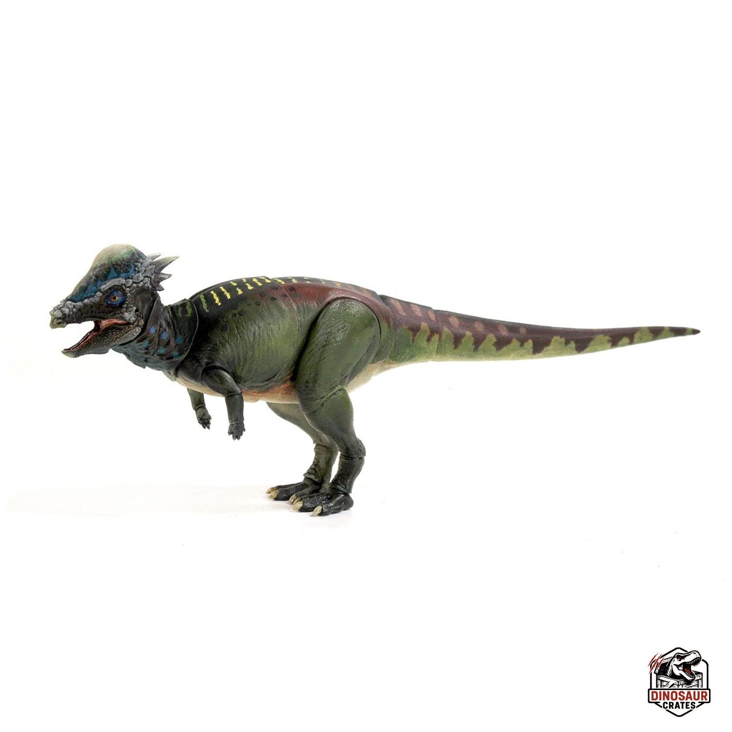 Pachycephalosaurus wyomingensis  – Beasts of the Mesozoic (PREORDER)