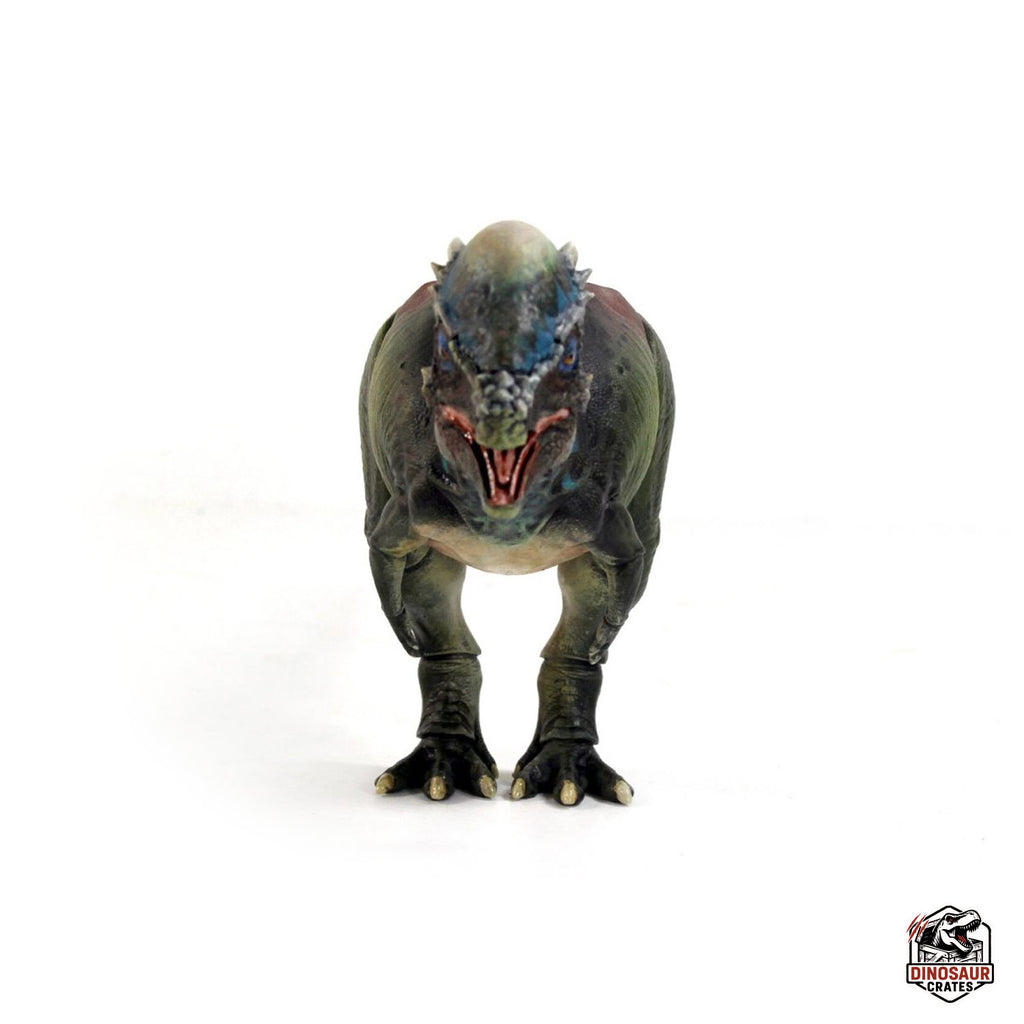 Pachycephalosaurus wyomingensis  – Beasts of the Mesozoic