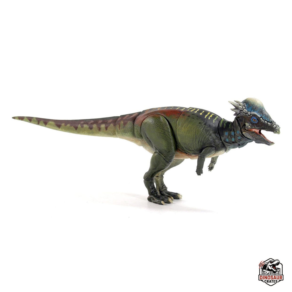 Pachycephalosaurus wyomingensis  – Beasts of the Mesozoic