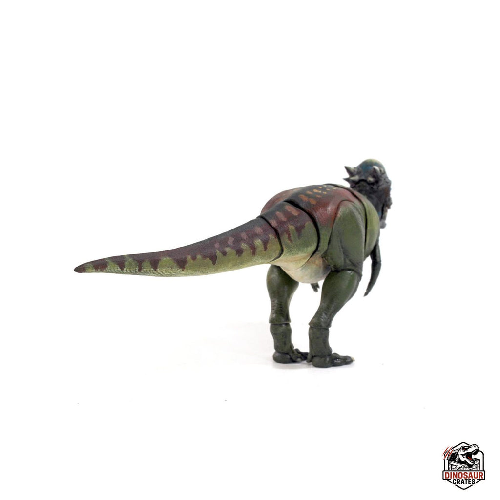 Pachycephalosaurus wyomingensis  – Beasts of the Mesozoic