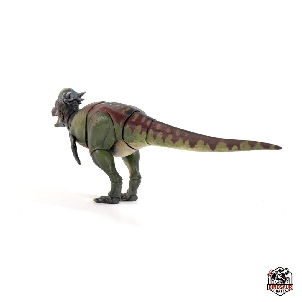 Pachycephalosaurus wyomingensis  – Beasts of the Mesozoic