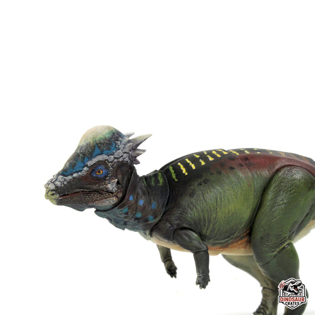 Pachycephalosaurus wyomingensis  – Beasts of the Mesozoic