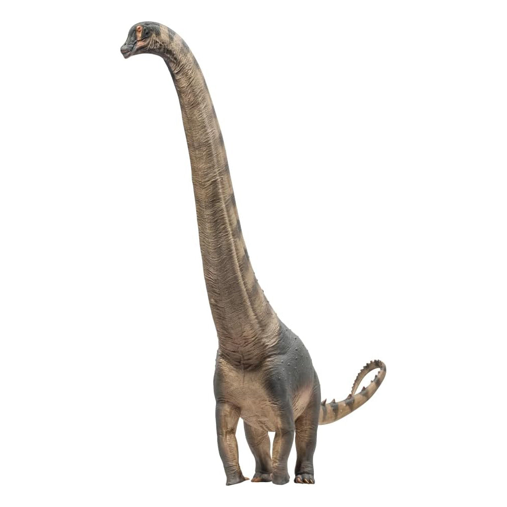 PNSO Samuel l'Alamosaurus
