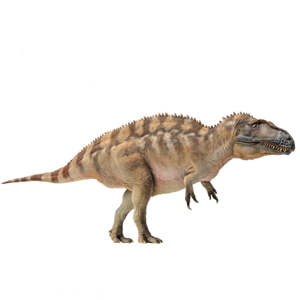 PNSO Fergus the Acrocanthosaurus