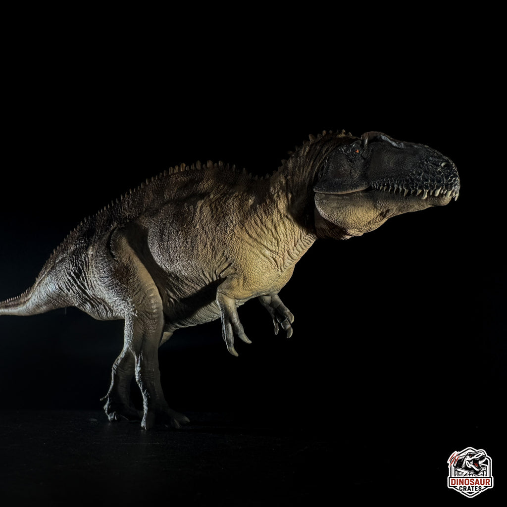 PNSO Fergus the Acrocanthosaurus