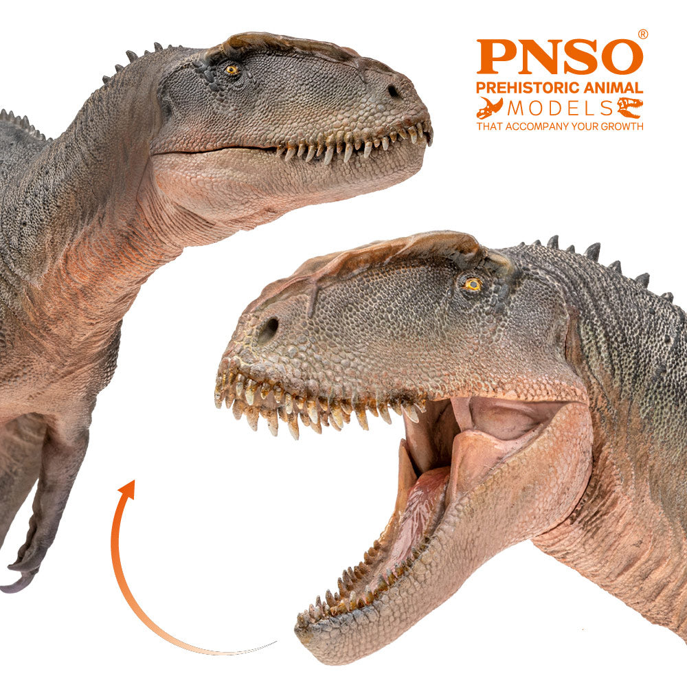 PNSO Xinchuan the Sinraptor