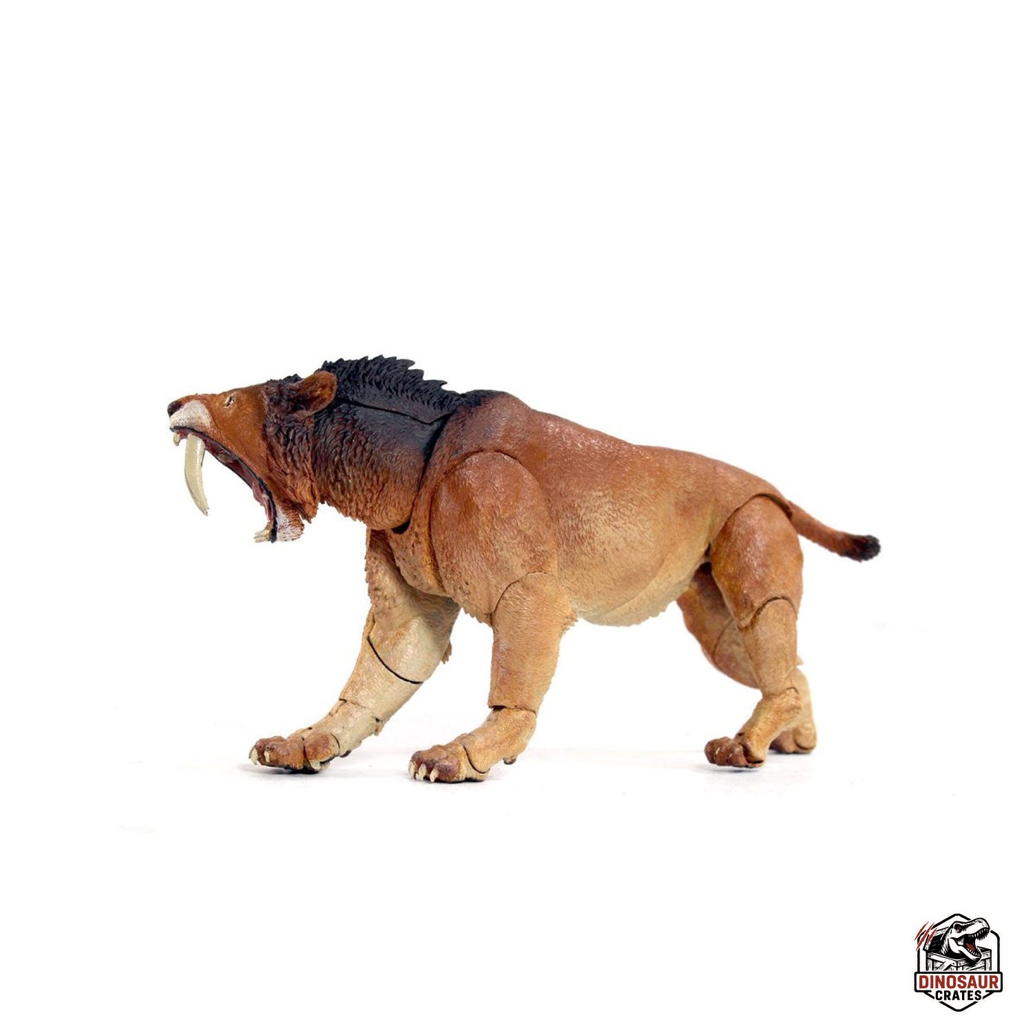 Smilodon populator – Beasts of the Cenozoic