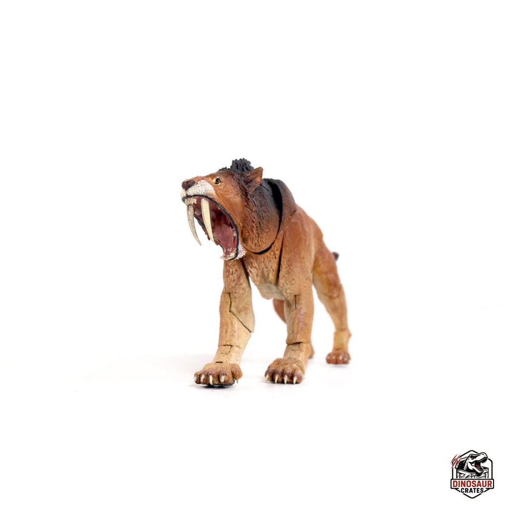 Smilodon populator – Bêtes du Cénozoïque