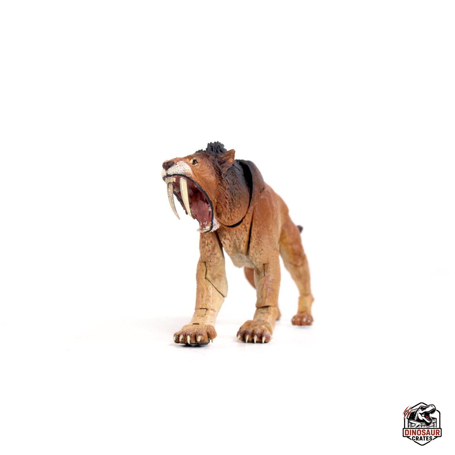 Smilodon populator – Beasts of the Cenozoic