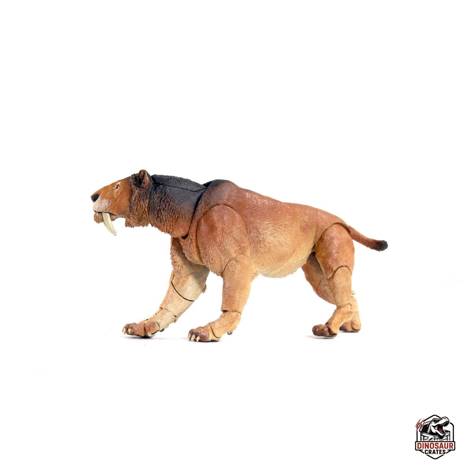 Smilodon populator – Beasts of the Cenozoic