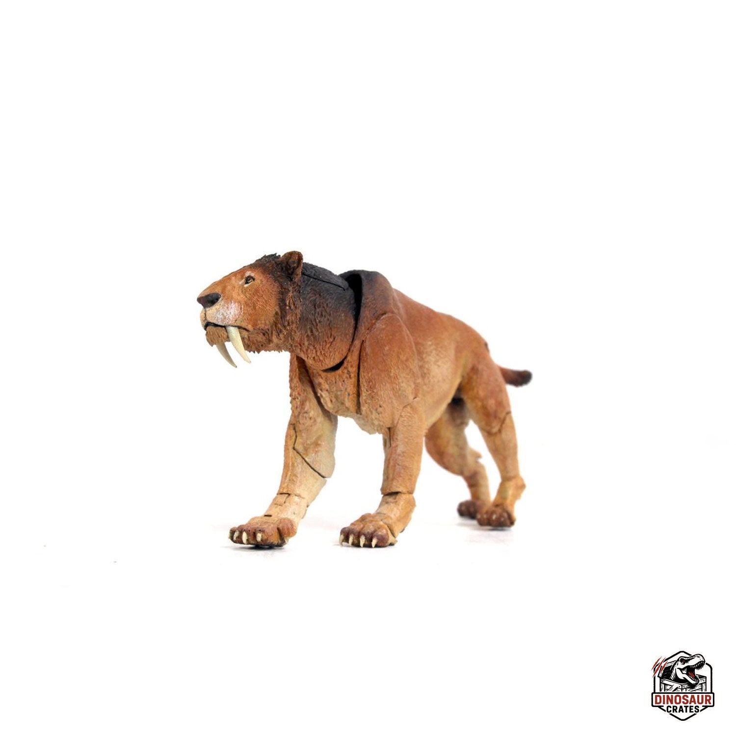 Smilodon populator – Beasts of the Cenozoic