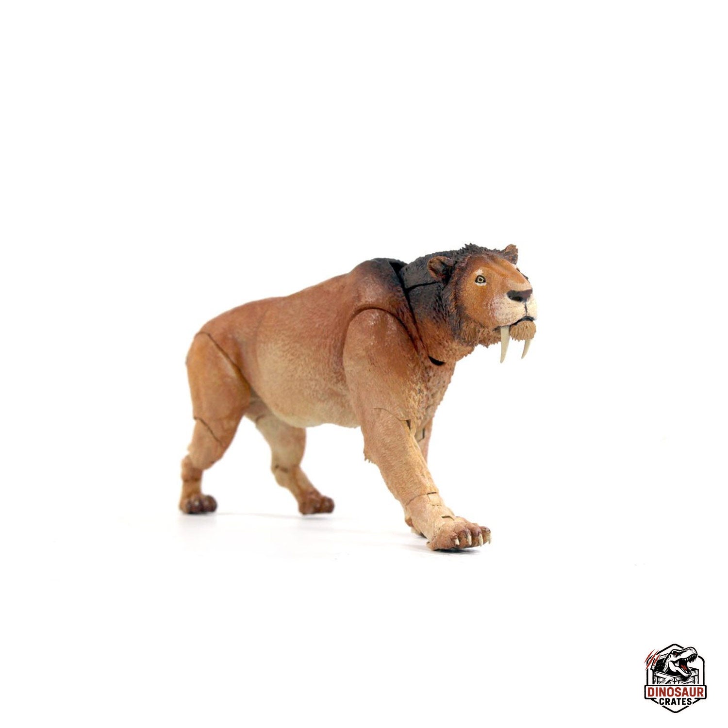 Smilodon populator – Beasts of the Cenozoic