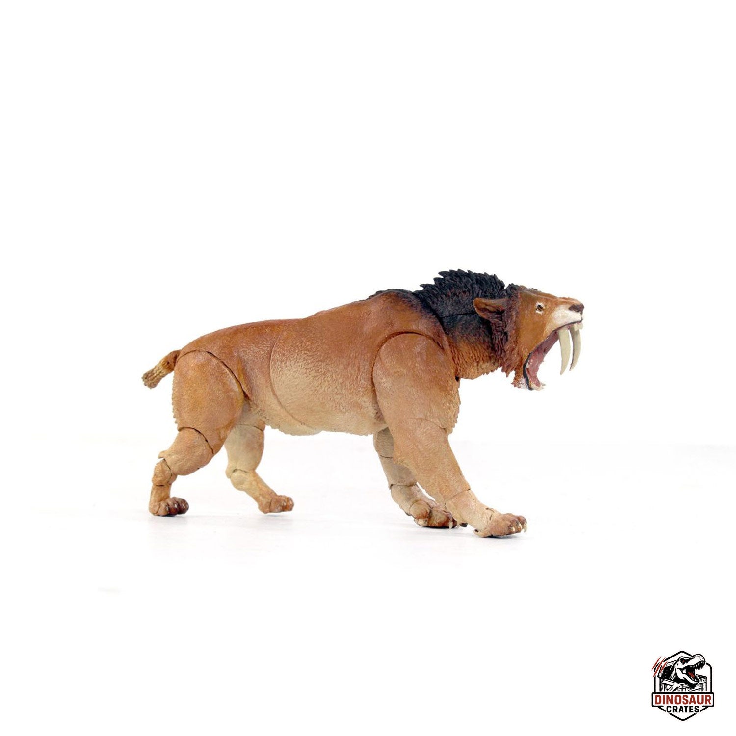 Smilodon populator – Beasts of the Cenozoic
