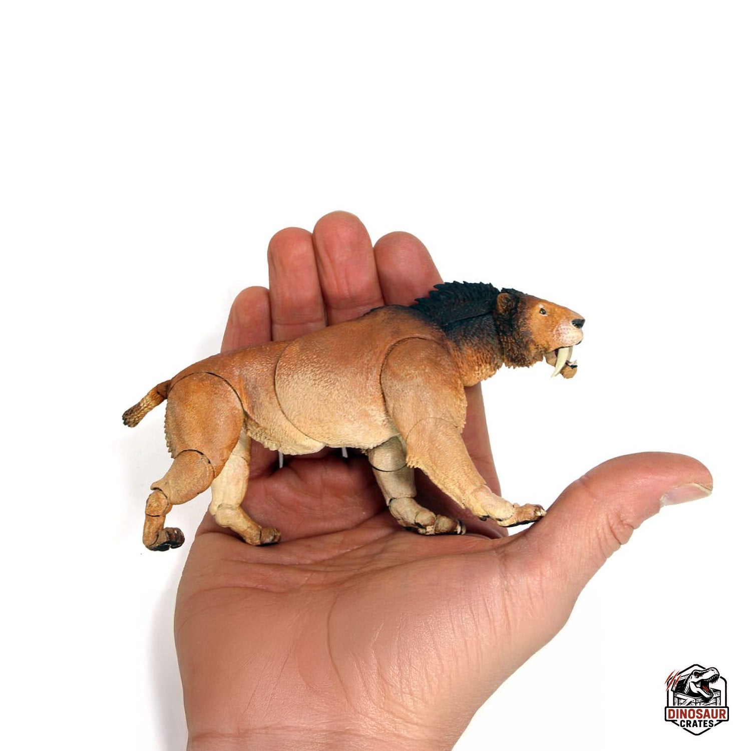 Smilodon populator – Beasts of the Cenozoic