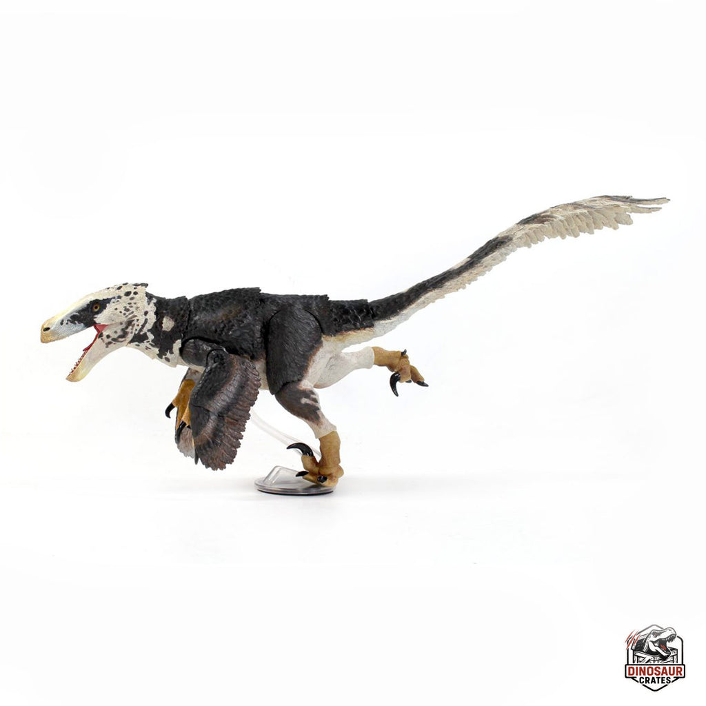 Utahraptor ostrommaysi – Bêtes du Mésozoïque