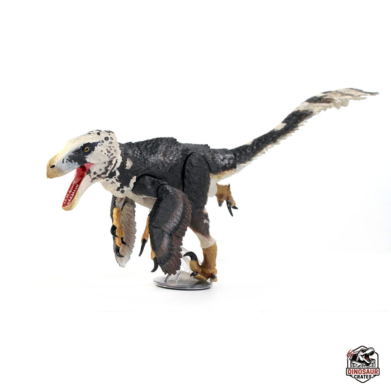 Utahraptor ostrommaysi – Beasts of the Mesozoic