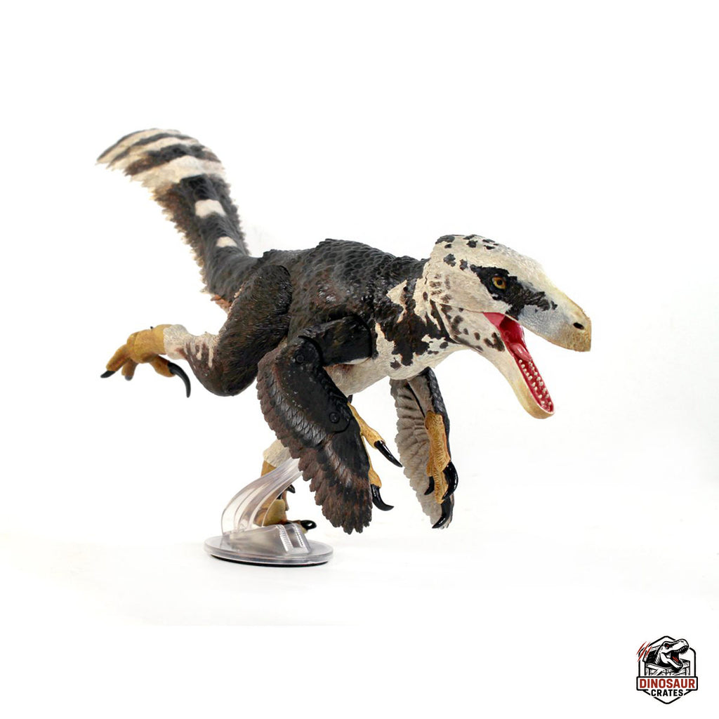Utahraptor ostrommaysi – Beasts of the Mesozoic