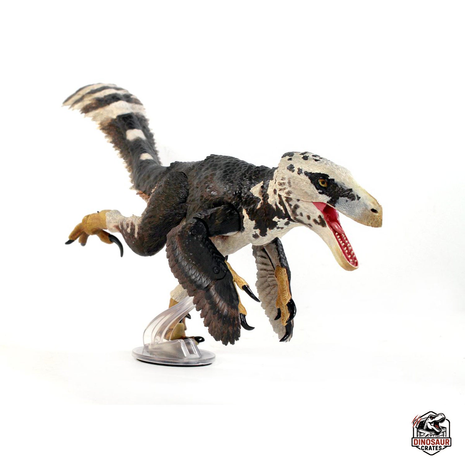 Utahraptor ostrommaysi – Beasts of the Mesozoic