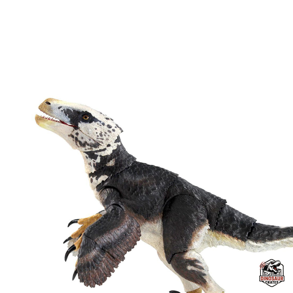 Ultaraptor Utahraptor ostrommaysi – Beasts of the Mesozoic – Dinosaur Crates
