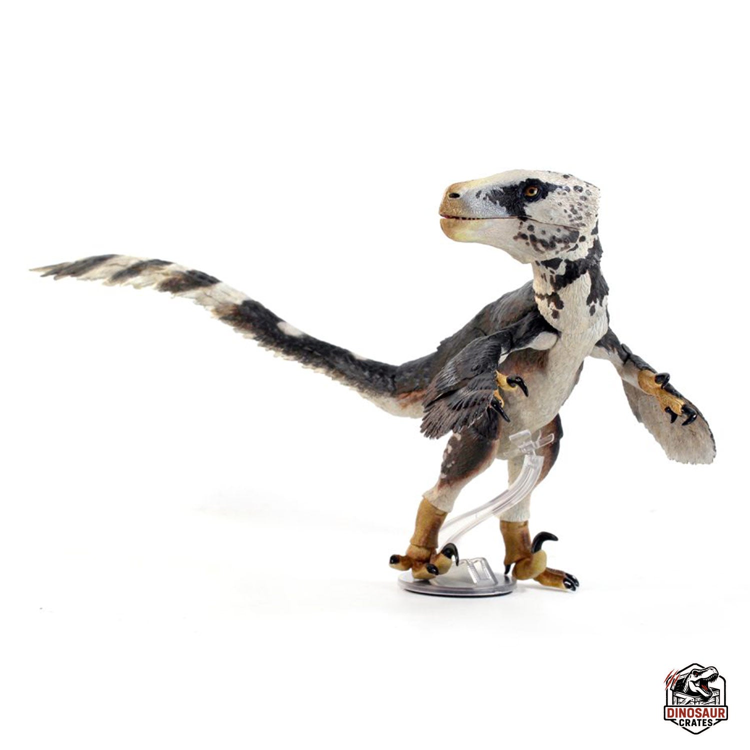Utahraptor ostrommaysi – Beasts of the Mesozoic