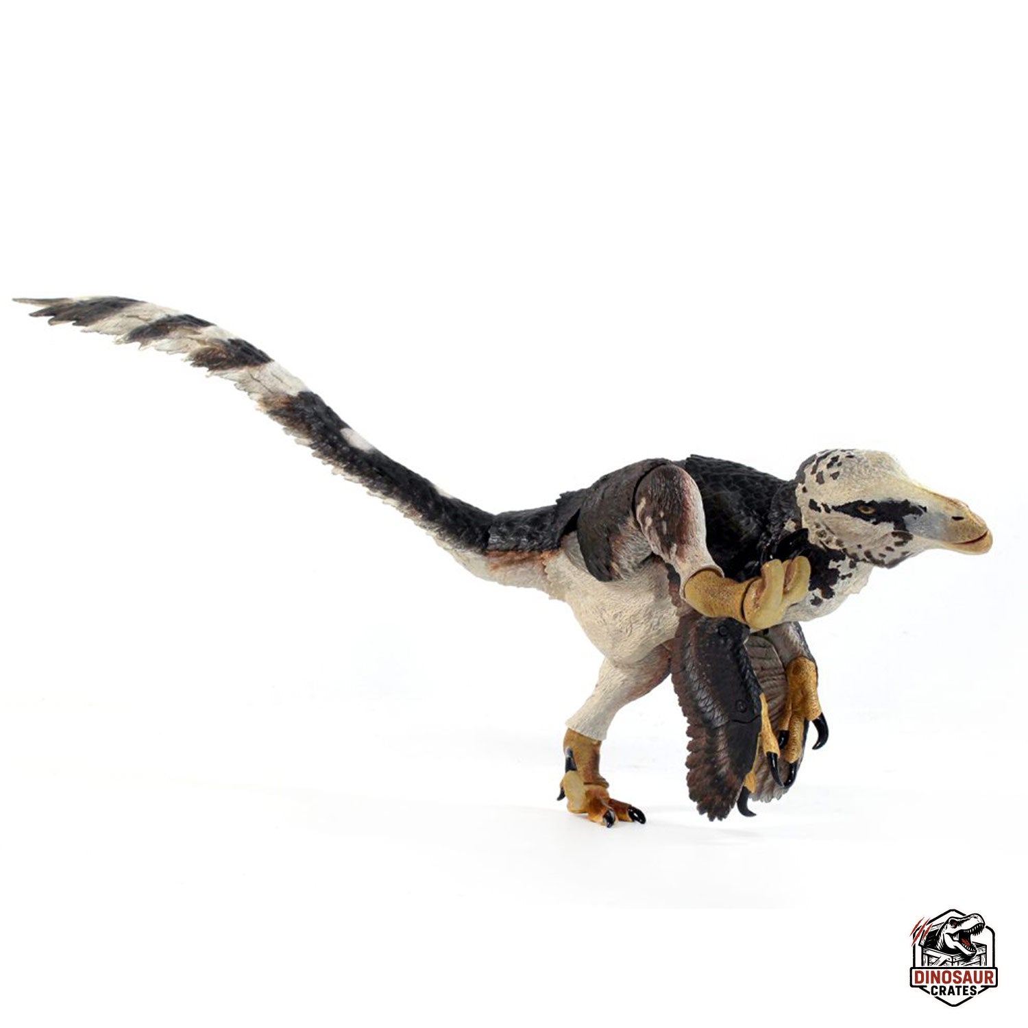Utahraptor ostrommaysi – Beasts of the Mesozoic